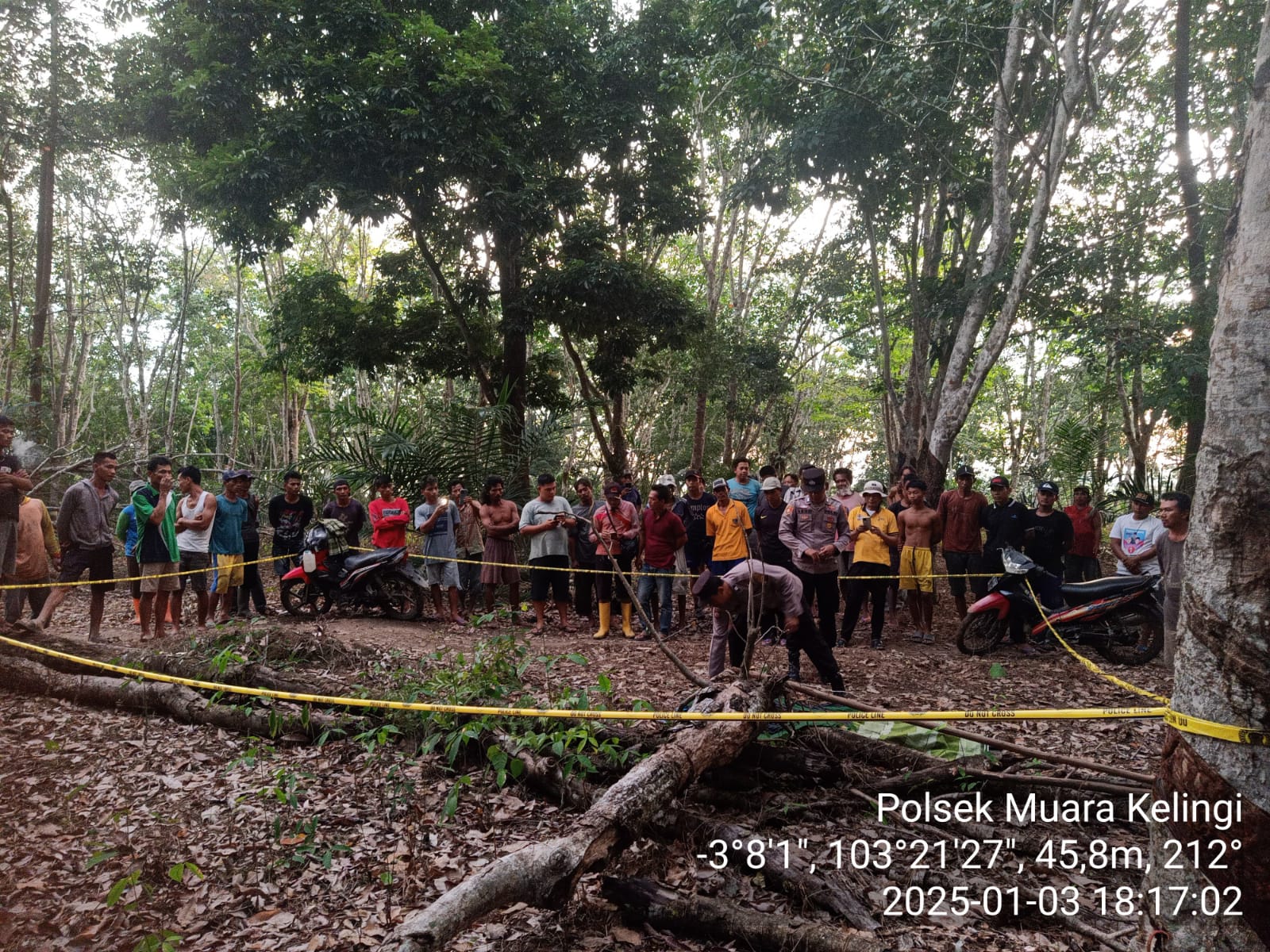 Satreskrim Polres Musi Rawas, Inafis dan Polsek Muara Kelingi Sigap Olah TKP Penemuan Korban Meninggal Dunia di Kebun Desa Mangan Jaya